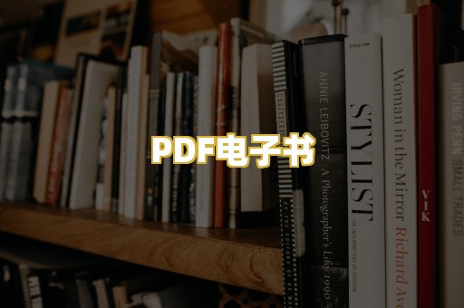 PDF电子书